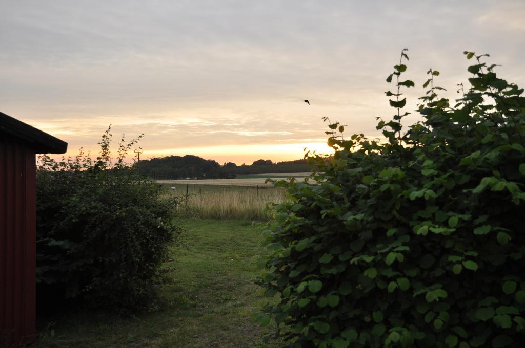 Stf Vandrarhem Blentarp Habitación foto
